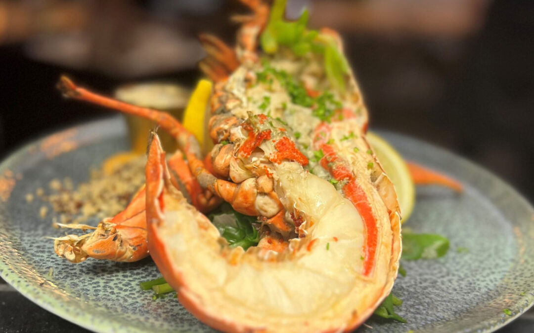 Nieuwsupdate februari